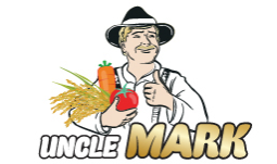 �׿�����