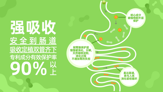 ֲ��3D�����g(sh��) ����NVQ�����������������_�������M(f��i)